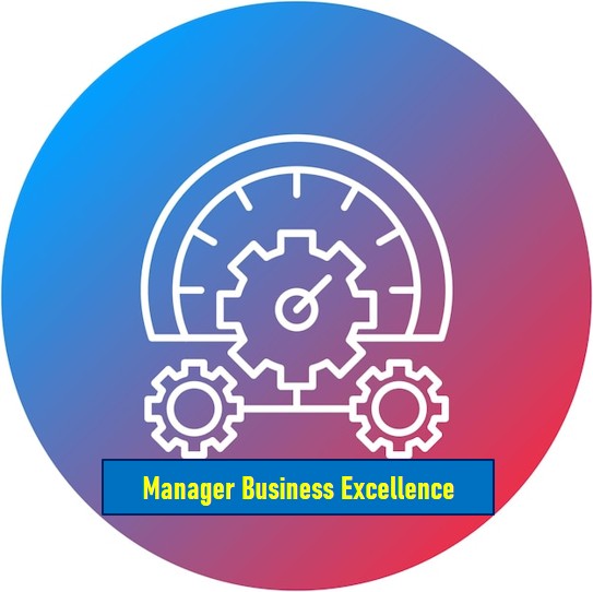 Manager Business Excellence